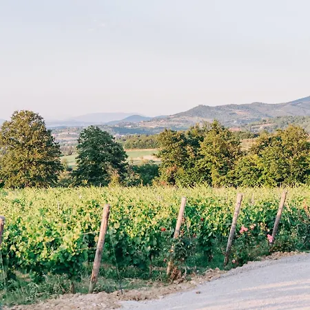 Borgo Siliano - Antico Podere Siliano *